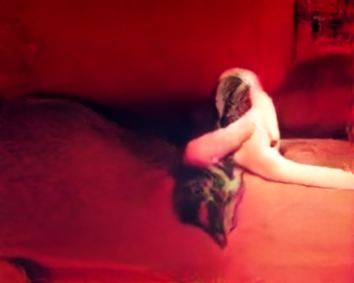 Evolved Hallucinations: Welcoming New Collectors

What happens when machines are taught to see the world through centuries of art, culture, and philosophy? @TrevorPaglen’s Evolved Hallucinations explores this question, offering a collection that redefines how we think about