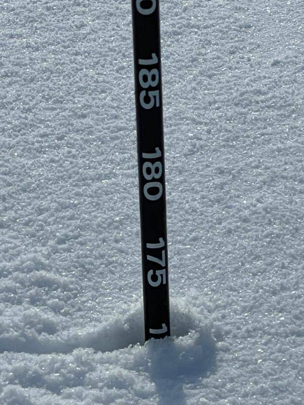 Eagle Pass Heli tweet media