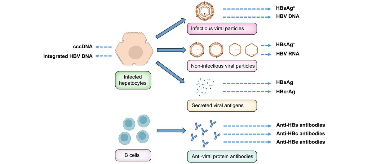 JHEP Reports (@jhep_reports) on Twitter photo ❕Virological markers for clinical trials in chronic viral hepatitis
🔓#OpenAccess at👉jhep-reports.eu/article/S2589-…
#LiverTwitter
#hepatitis
<a href="/JMPawlotsky/">JM Pawlotsky</a> ❕Virological markers for clinical trials in chronic viral hepatitis
🔓#OpenAccess at👉jhep-reports.eu/article/S2589-…
#LiverTwitter
#hepatitis
<a href="/JMPawlotsky/">JM Pawlotsky</a>