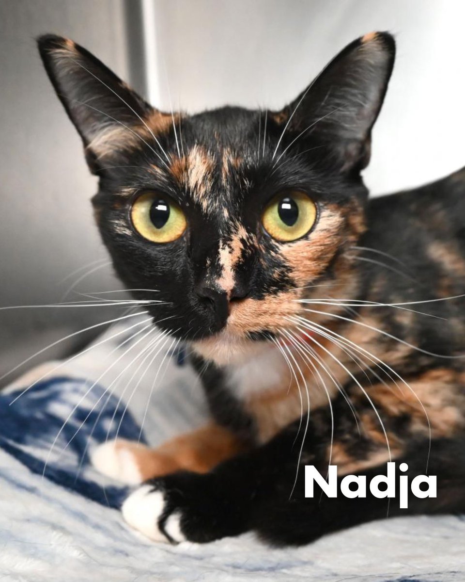 Peggy Adams ARL (@peggyadamsarl) on Twitter photo 