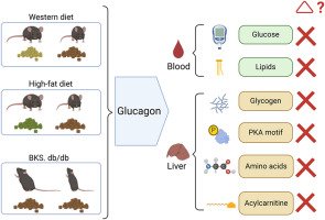 Check out our latest: Variable #glucagon metabolic actions in diverse mouse models of #obesity and type 2 #diabetes
sciencedirect.com/science/articl…