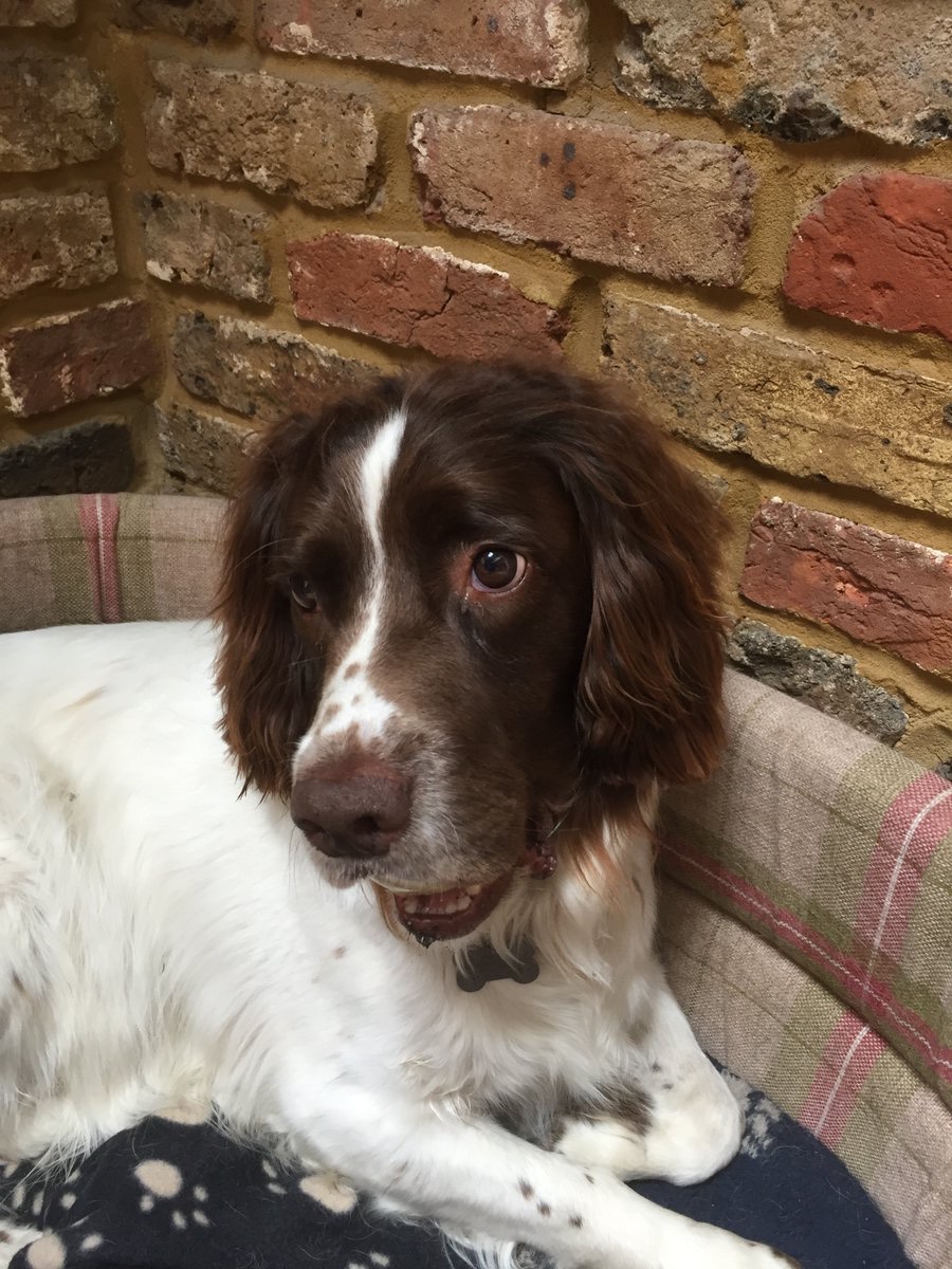 Chrystal Mattacks tweet media