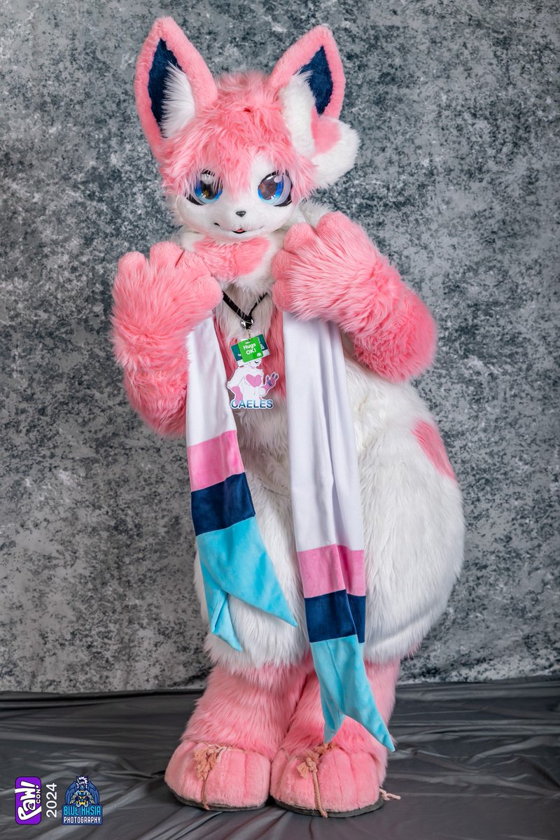 Caeles the Sylveon tweet media