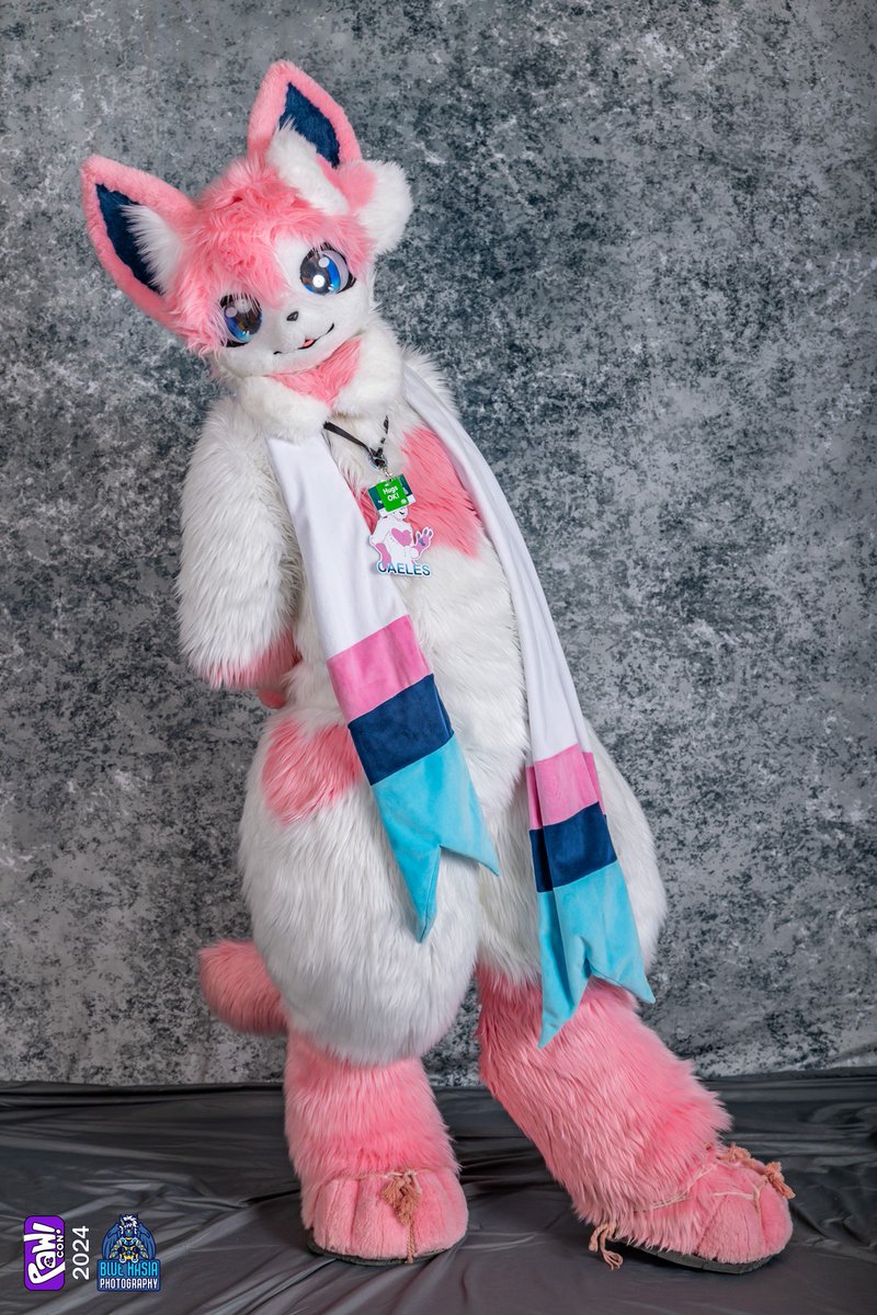 Caeles the Sylveon tweet media