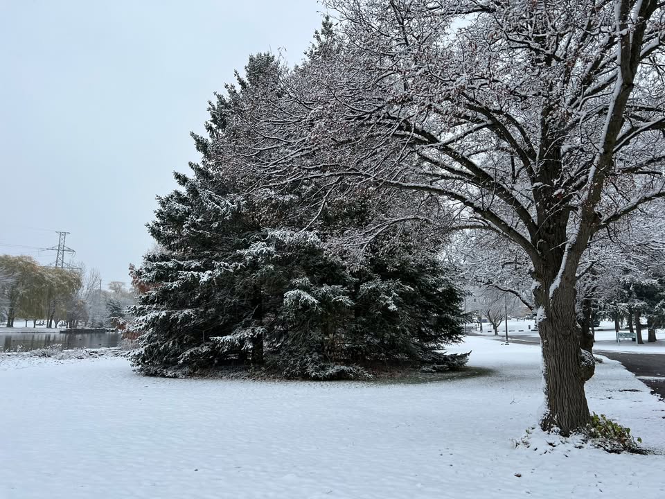 Winter weather is around the corner! Here are a few seasonal reminders:

🚫 Starting Dec. 1, there is no parking on City streets from 2 – 6 a.m. 

❄️ Residents and businesses have 24 hours from the end of a snowfall to clear their sidewalk of snow and ice

cityofwoodstock.ca/snowremoval