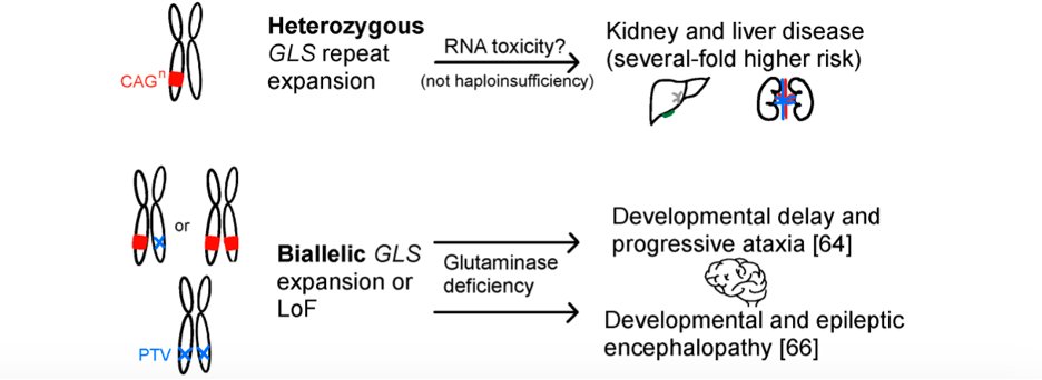 Margaux Hujoel tweet media