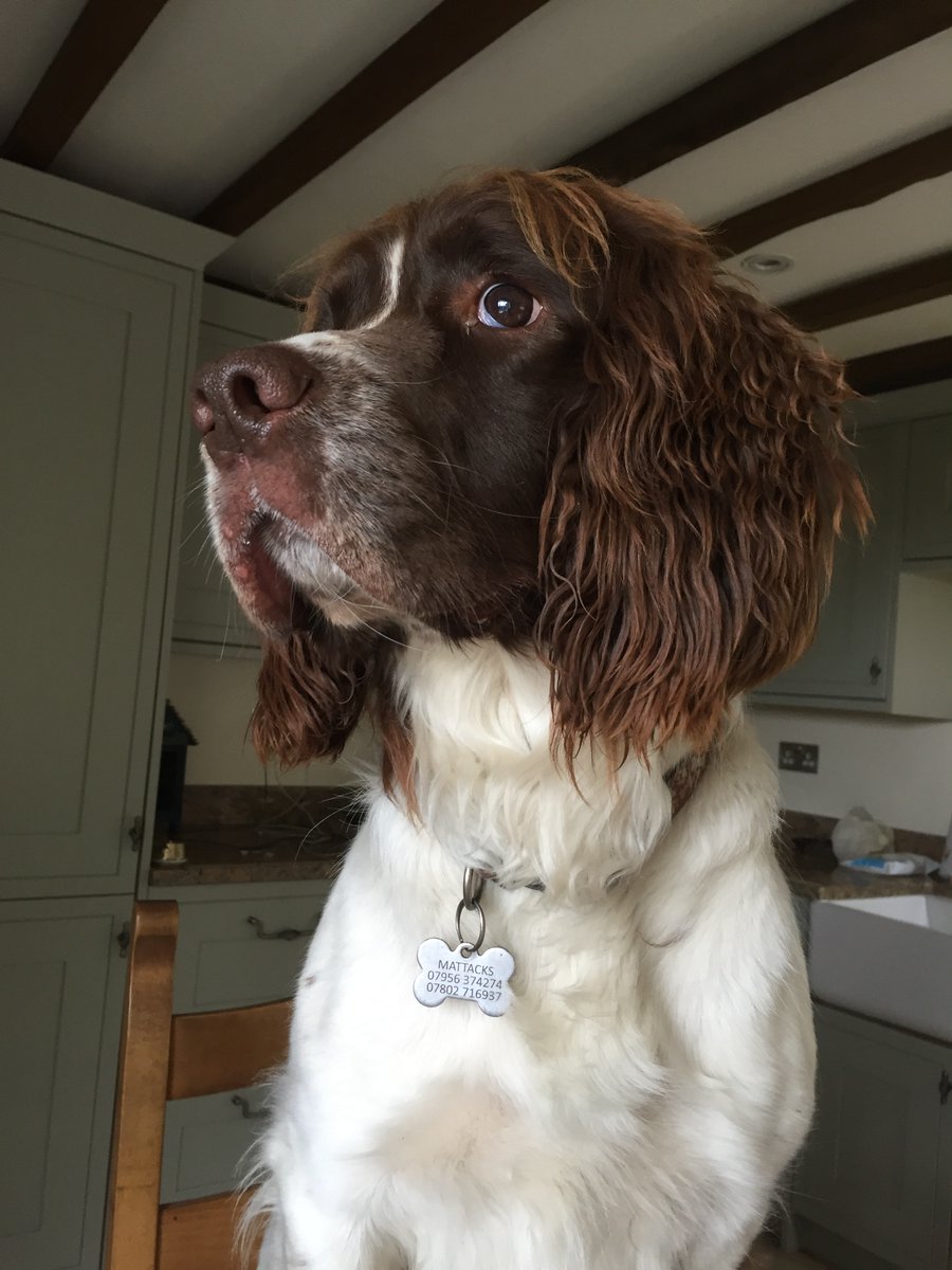 Chrystal Mattacks tweet media