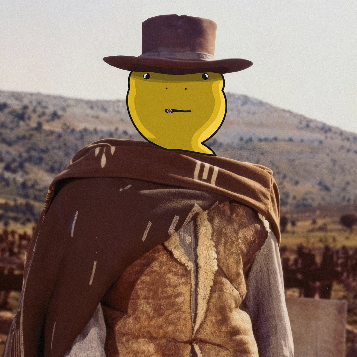 NipoOnSol's tweet photo. @meechie $Nipo is the new fwog in town https://t.co/dUqHgn9IH1