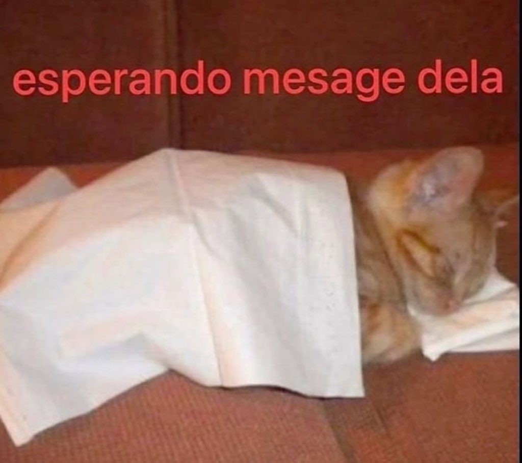 Shitpost só que de verdade (@shitpostverdade) on Twitter photo 