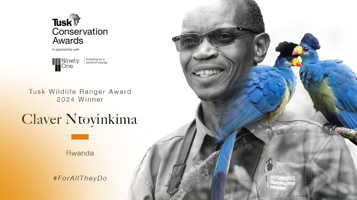 Tusk (@tusk_org) on Twitter photo Our 2024 Tusk Wildlife Ranger Award Winner is Claver Ntoyinkima.
Claver is an inspiring ranger leader and role model in Rwanda’s Nyungwe National Park, one of the oldest rainforests in Africa <a href="/AfricanParks/">African Parks</a>
👇 Our 2024 Tusk Wildlife Ranger Award Winner is Claver Ntoyinkima.
Claver is an inspiring ranger leader and role model in Rwanda’s Nyungwe National Park, one of the oldest rainforests in Africa <a href="/AfricanParks/">African Parks</a>
👇
