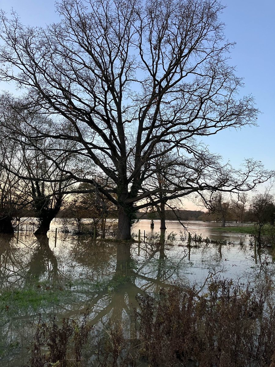 srjudithl's tweet image. #Winter #Sunset #WinterSunset #RiverOuse #Bedford #BedfordView
A few pics from a cold walk at the end of a winter day.
