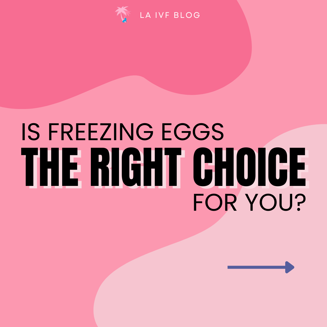 laivfclinic's tweet photo. Freezing your eggs is a personal choice that many females make every day. There are several reasons for freezing eggs that remain instrumental in making that decision. Here we offer insights from fertility experts that may help you make your choice.

https://t.co/TlNoglcm4m https://t.co/tcwz1XFI9h