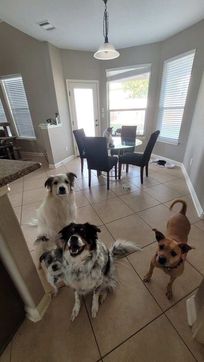 Matthew J. Fahey tweet media