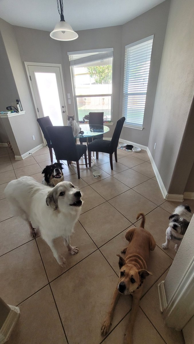 Matthew J. Fahey tweet media