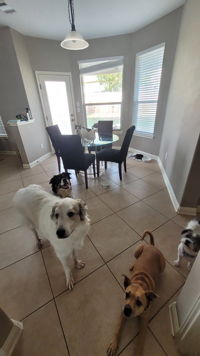 Hardest picture I've ever tried to take! 🤣😂