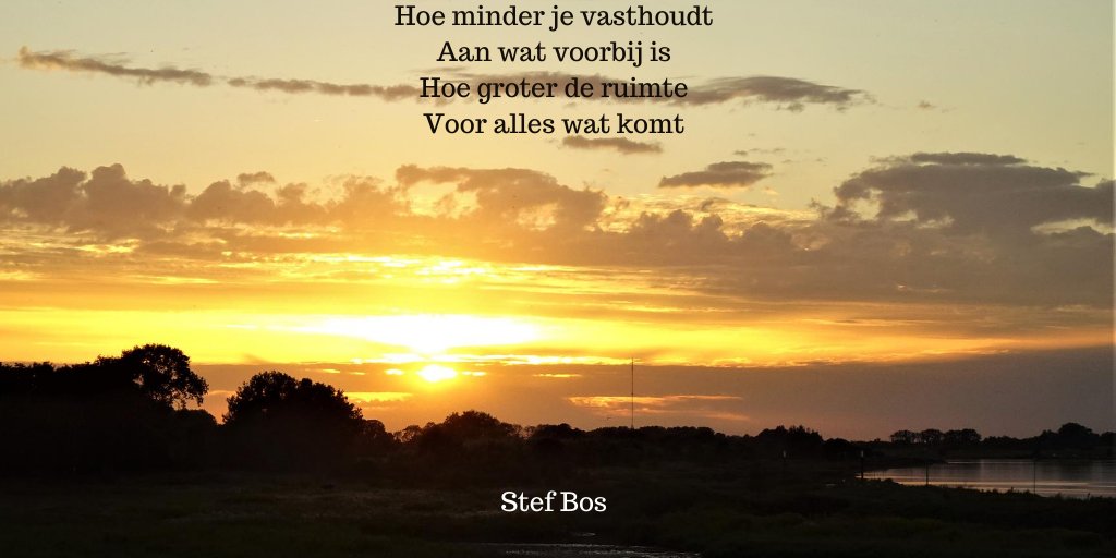 Hubrien Meijaard tweet media