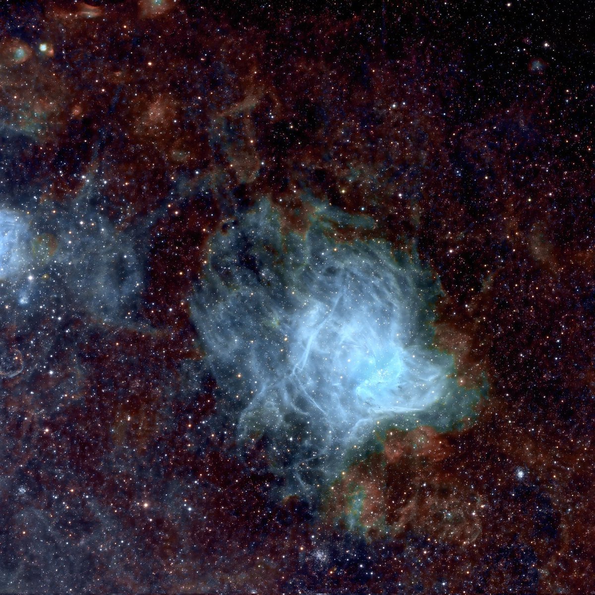 LeeAnneGibbon1's tweet photo. NGC 346 is a beautiful star-forming region located about 210,000 light years from Earth. Found amongst the clusters and nebulae of the Small Magellanic Cloud Galaxy in constellation Tucana, it's home to many embedded infant stars that are still forming. 📷 Telescope Live #NGC346 https://t.co/TwyAcbMeaW