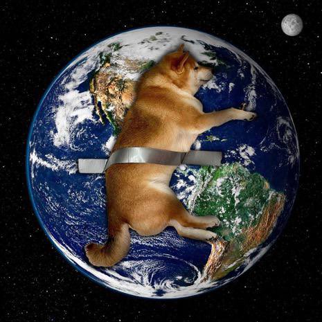 <a href="/justinsuntron/">H.E. Justin Sun 👨‍🚀 🌞</a> Look at this taped dog, this is next gem of this cycle, can easy flip taped banana 

G8UXaCn8XRm2ANYR5jLz3BrBWY7ogoV2Ru1cRzmYpump
t.me/TapedDog