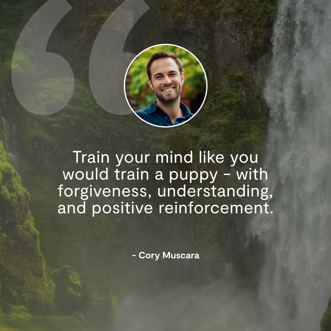 Mindfulness tweet media