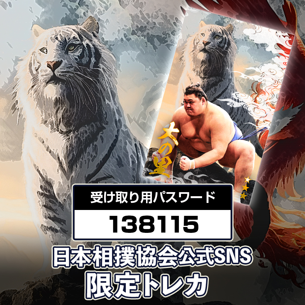 大相撲コレクション＞ 電子トレカサービス 大相撲コレクションにて