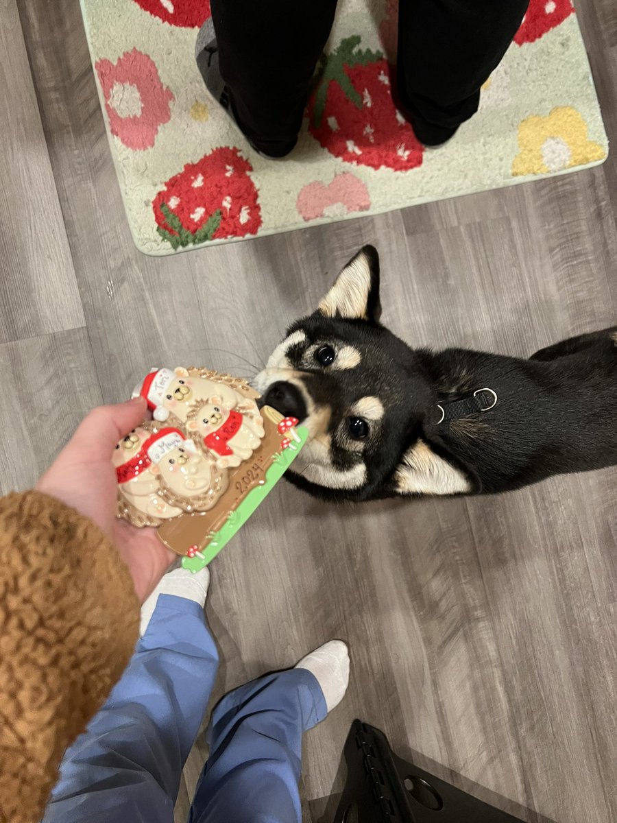 kathryn 🤍 tweet media