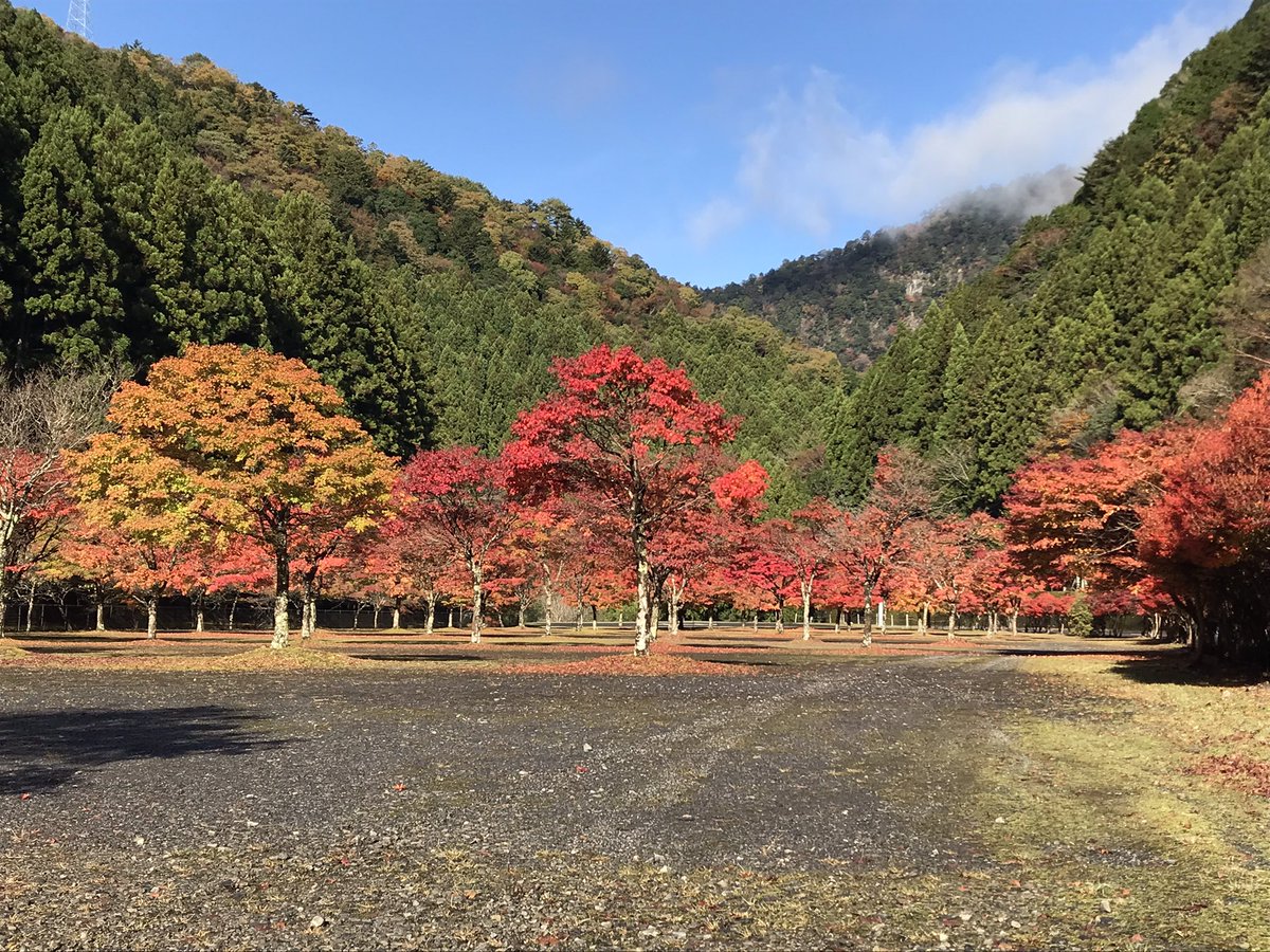 kuretake2985's tweet photo. おはようございます🍁
昨夜の風にも負けずまだまだ🍁頑張っています😄
静岡県×ゆるキャン△ステッカー、まだまだ在庫あります😊お気軽にお立ち寄りくださいね🍀 https://t.co/473LiNXO7X