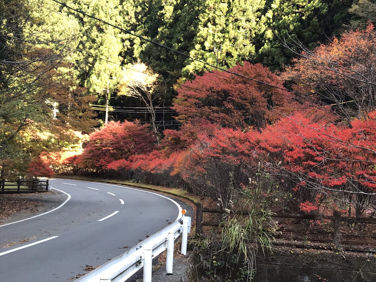 kuretake2985's tweet photo. おはようございます🍁
昨夜の風にも負けずまだまだ🍁頑張っています😄
静岡県×ゆるキャン△ステッカー、まだまだ在庫あります😊お気軽にお立ち寄りくださいね🍀 https://t.co/473LiNXO7X