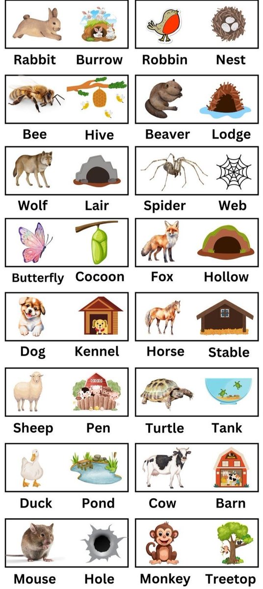 knowiiiedge's tweet photo. Animal home https://t.co/GybZBppJFW