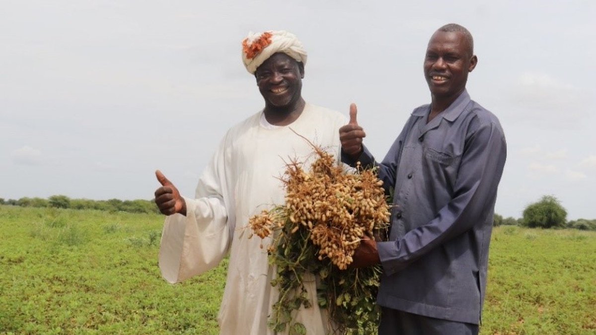 Achim Steiner (@asteiner) on Twitter photo In Sudan, <a href="/UNDP/">UN Development</a>+ <a href="/Silatech/">Silatech</a> have launched a $6M project to create youth employment & secure livelihoods in agriculture.
Supported by <a href="/qatar_fund/">Qatar Fund For Development صندوق قطر للتنمية</a>, it aims to empower 17,700 youth & benefit 603,000+ people.
go.undp.org/JUo In Sudan, <a href="/UNDP/">UN Development</a>+ <a href="/Silatech/">Silatech</a> have launched a $6M project to create youth employment & secure livelihoods in agriculture.
Supported by <a href="/qatar_fund/">Qatar Fund For Development صندوق قطر للتنمية</a>, it aims to empower 17,700 youth & benefit 603,000+ people.
go.undp.org/JUo