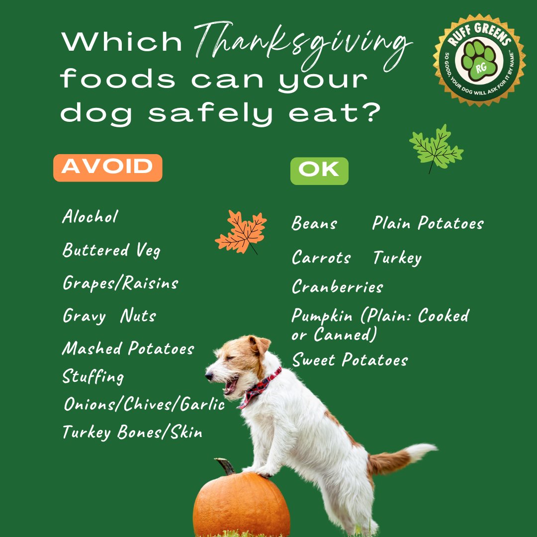 RuffGreens's tweet image. Planning your Thanksgiving feast? 🦃 Don’t forget about your furry friend! 🐾 Check out which foods are safe for your dog and which to avoid. Let’s keep their tails wagging and their bellies happy this holiday season! 🍂 #ThanksgivingTips #SafeForDogs #HealthyPets