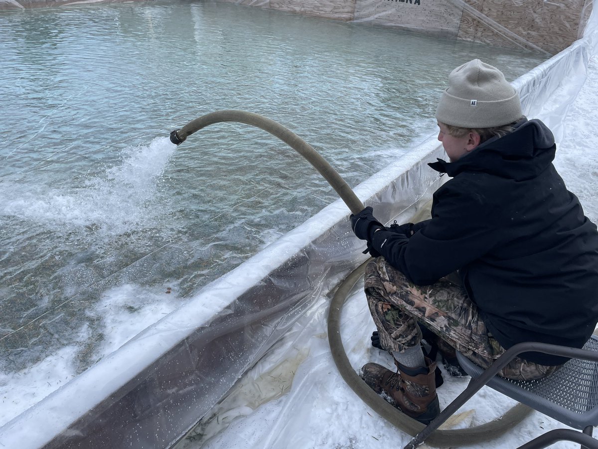 tonybina31's tweet photo. The #BinaArena is filled and ready to freeze! It was great to have some helpers this year with the process! Bring on the cold weather!
@JLGice #backyardrinks https://t.co/fyWhv1bKur