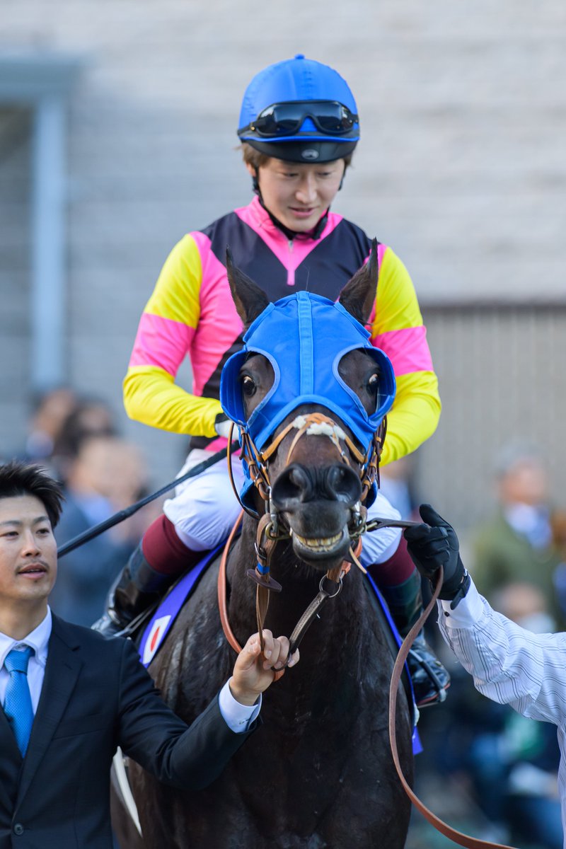 eclipse__first's tweet photo. 2024.11.24 東京12R
ジャパンカップ JAPAN CUP 🌏
4枠 ⑤番
シュトルーヴェ Struve × 鮫島克駿騎手 🫧
#ジャパンカップ #JapanCup
#シュトルーヴェ #Struve
#鮫島克駿 https://t.co/RUTB1gtlXl