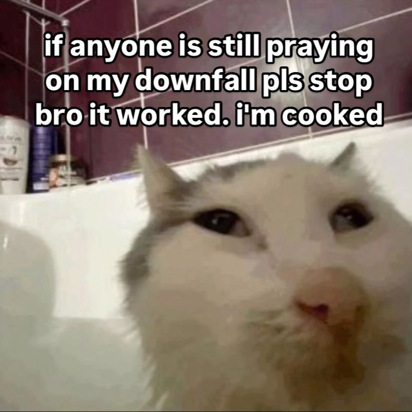 Catsillyness's tweet photo. im cooked https://t.co/OAdhtcnAia