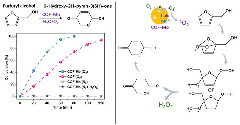 acsnano's tweet image. In this study, @CUHKofficial demonstrates a #SingletOxygen-mediated Achmatowich reaction using the TPB-DMTP-COF-Mo #photocatalyst under ambient conditions utilizing water as the reaction medium and visible light as the energy source. #BioMass

Read: go.acs.org/bNk