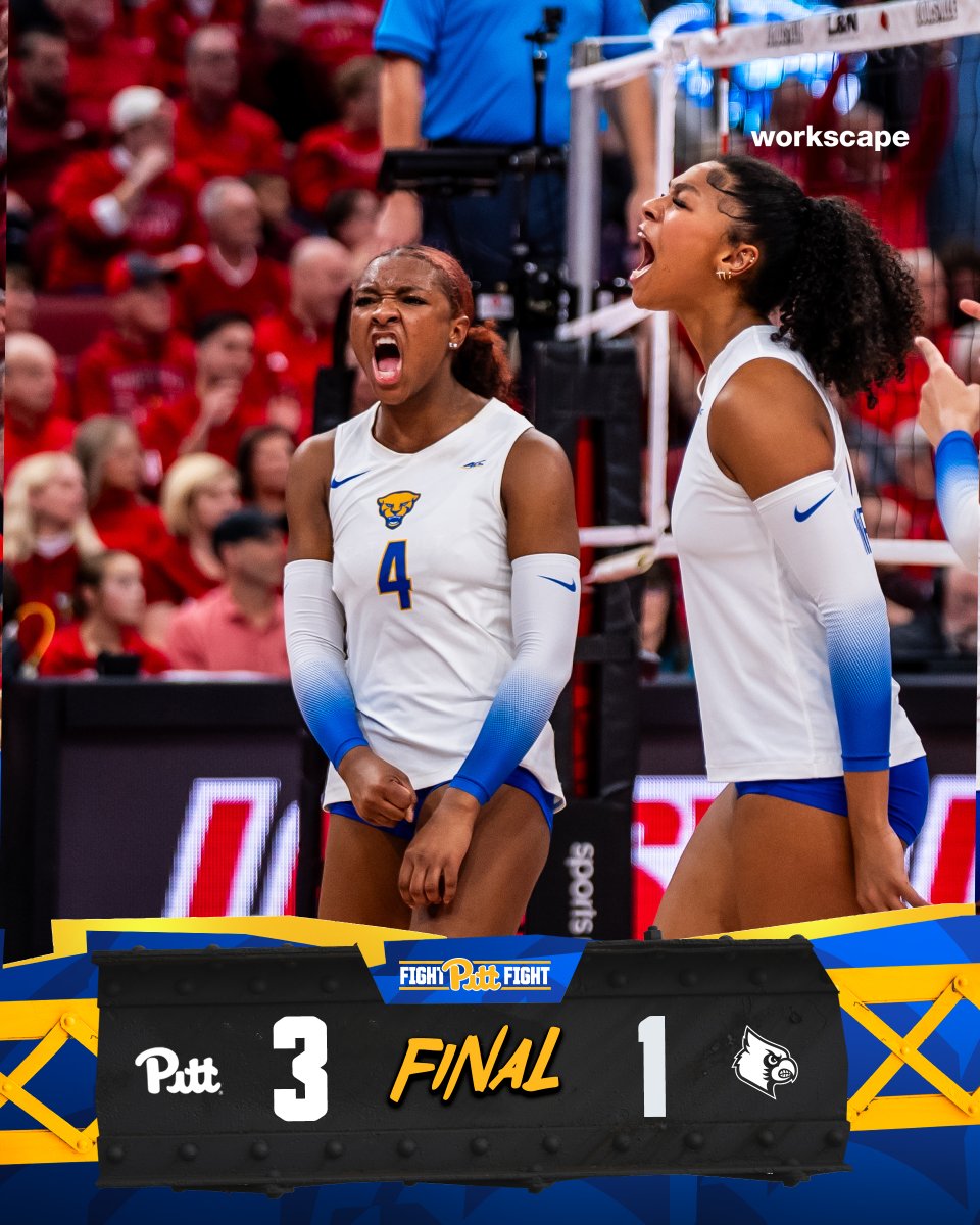 That’s just how the cards fell 😼