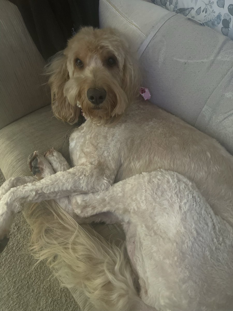 Tracey "XTraCey" Nguyen Hill tweet media