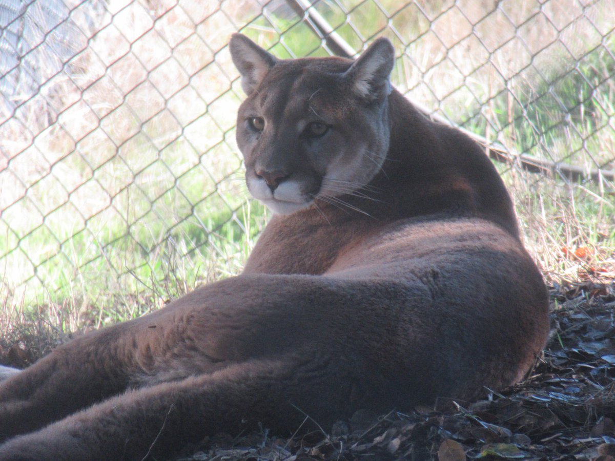 Favorite shots from this morning's visit to the <a href="/oakzoo/">Oakland Zoo</a>
