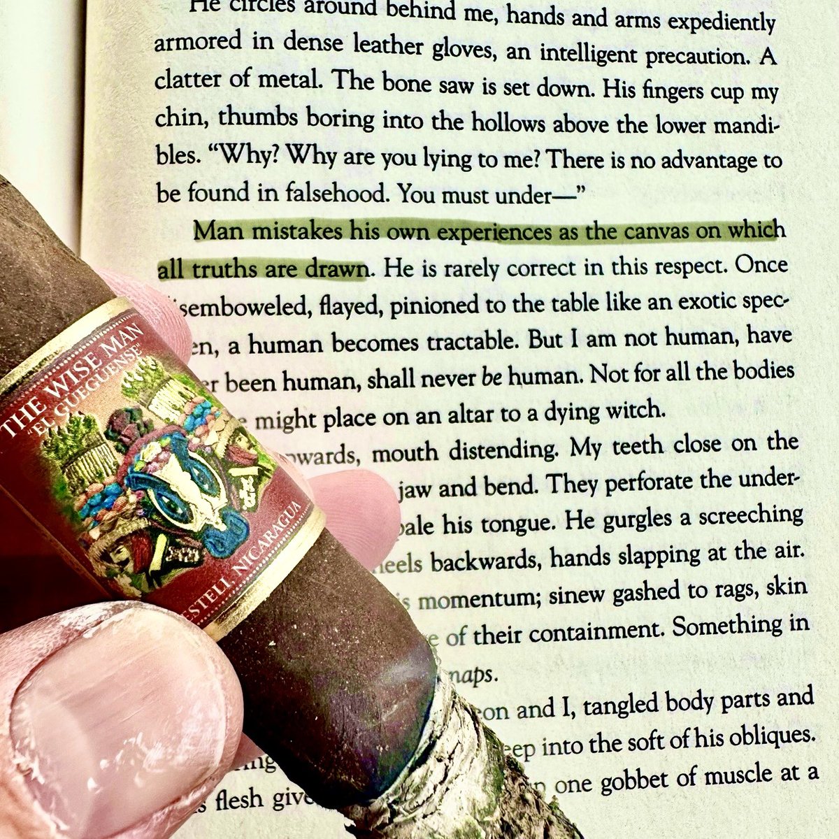 Brig_Berthold's tweet photo. What are your thoughts on this line? 
📕: The Salt Grows Heavy
✍️: Cassandra Khaw
💨: The Wise Man by Foundation
#writer #literature #cigar https://t.co/rVn84bFaob