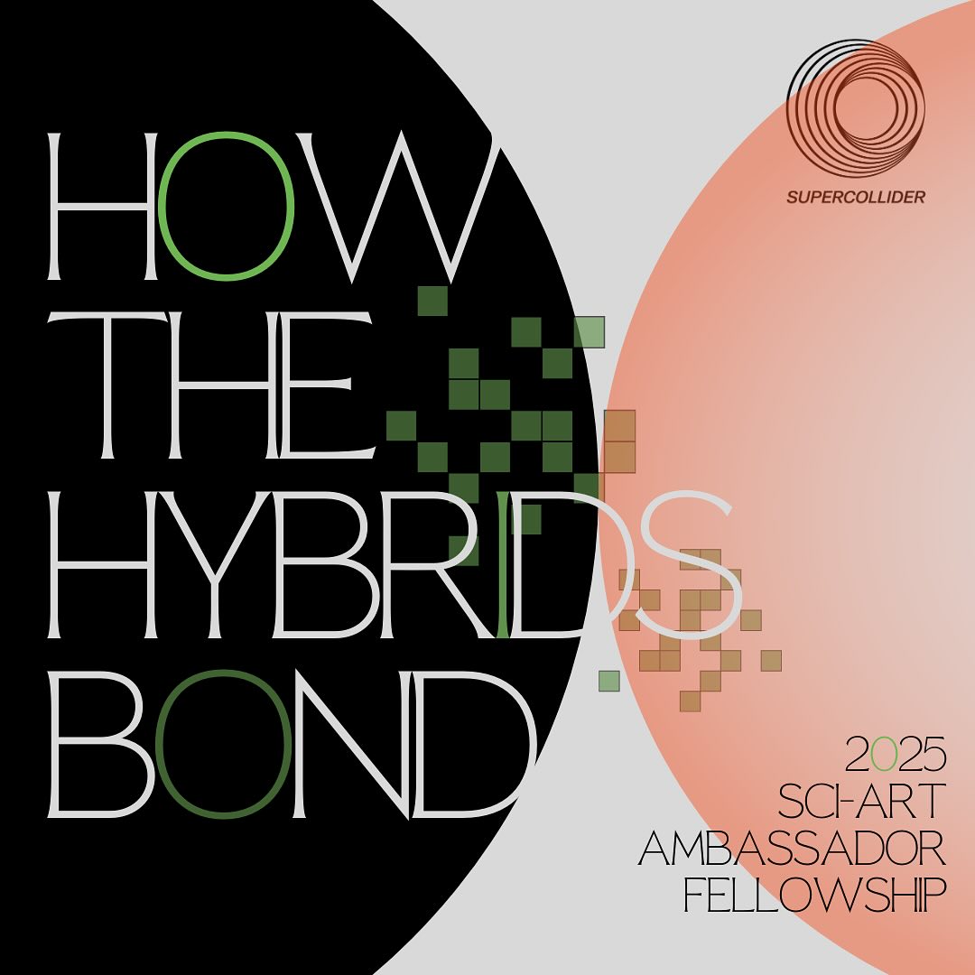 SUPERCOLLIDER tweet media