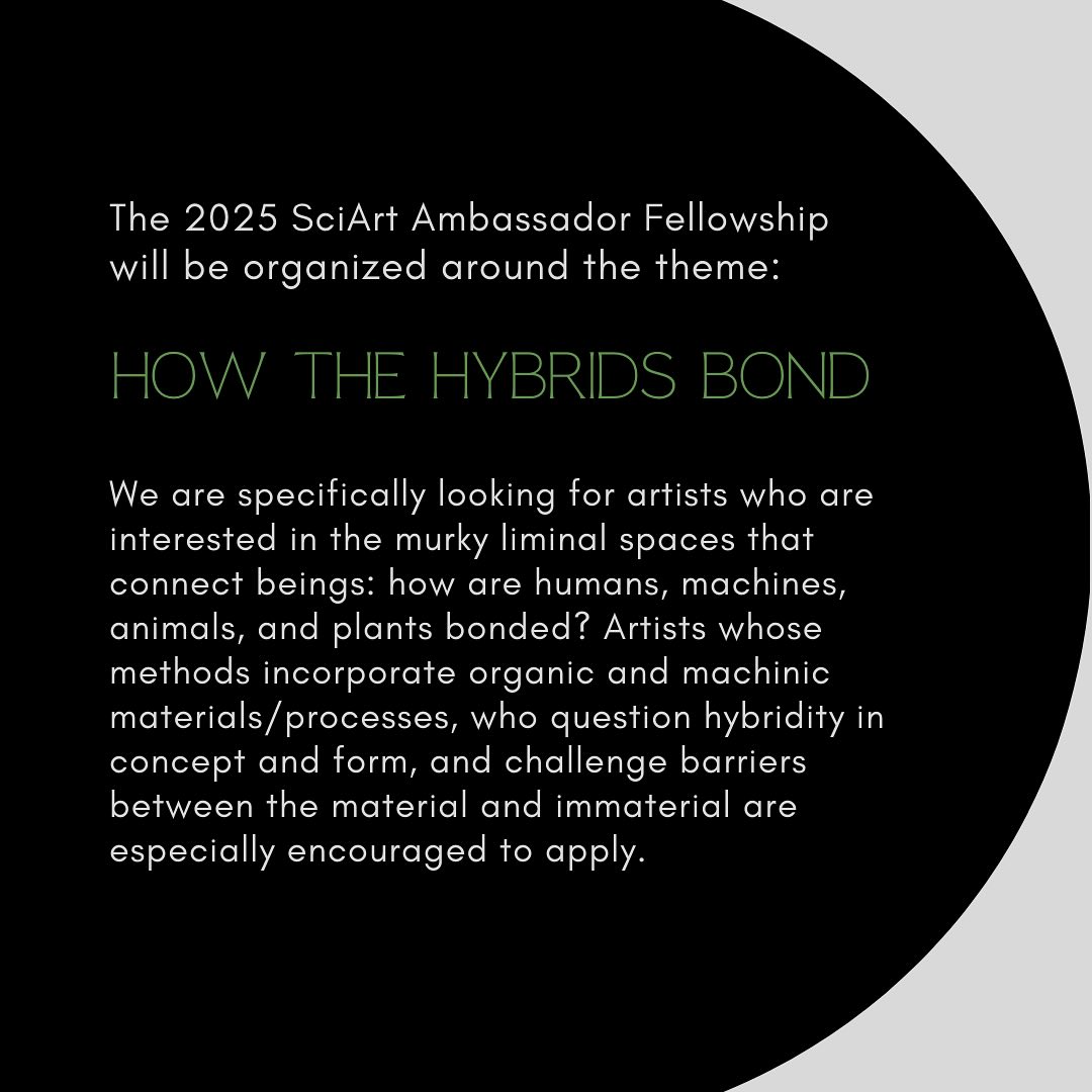 SUPERCOLLIDER tweet media