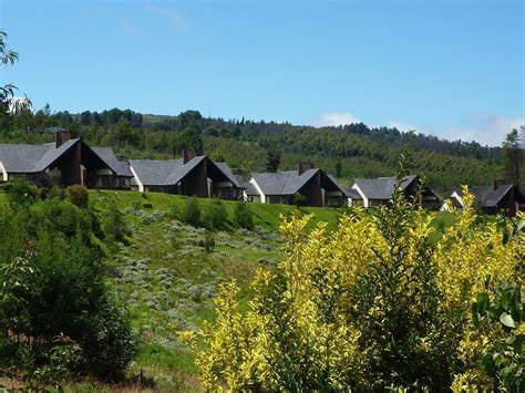 VisitZim_ZA's tweet photo. Beautiful destination for your next vacation #visitzimbabwe #nyanga #troutbeckresort #travel #holidayseason #vaca https://t.co/PNlXLTNIy2