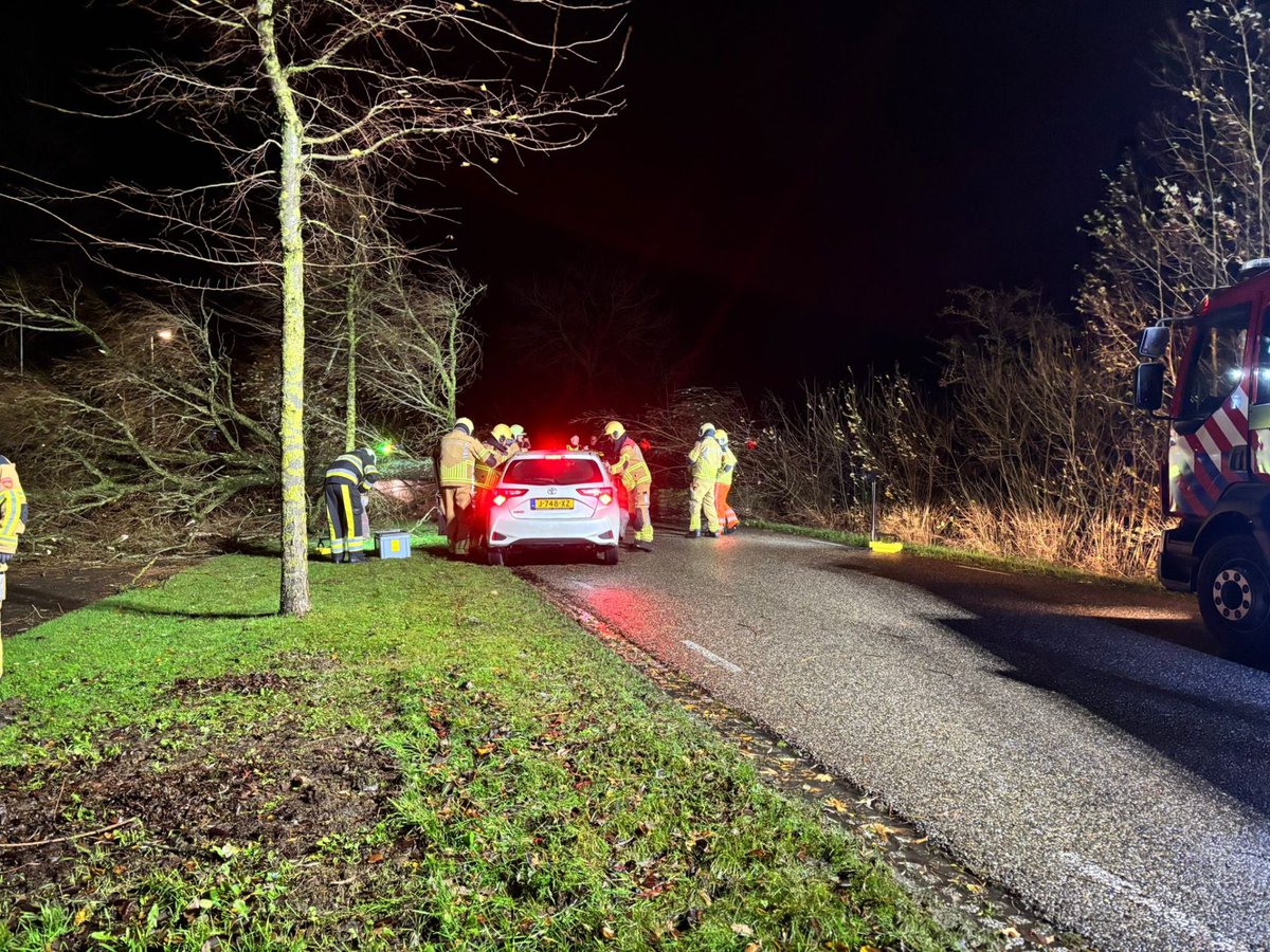 Auto botst op omgewaaide boom in Kollum