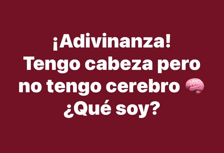 Más Ciencia tweet media