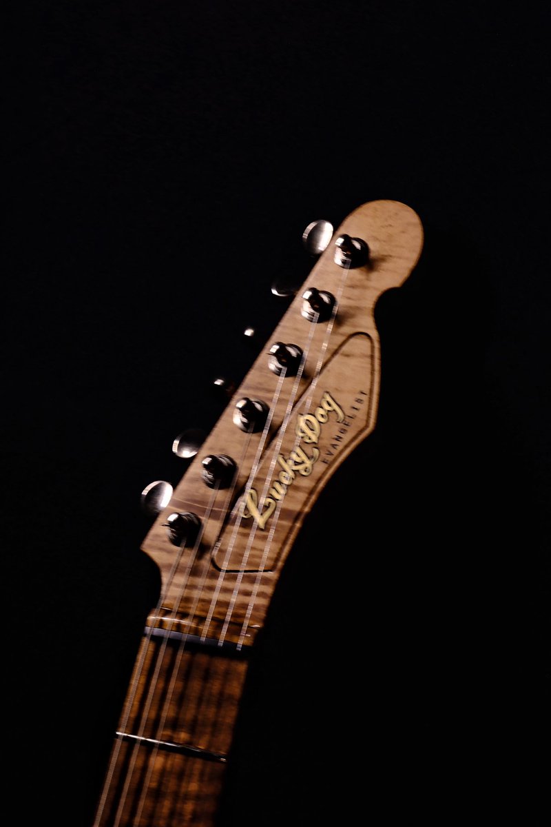 Public Sale - Rowdy Ricochet - Lucky Dog Houndstooth pickups with lucky dog machined and hand aged hardware.  Aged blackguard and locking tuners. Comes with high quality hard case.  $3575 #guitar #guitars #guitarist #vintageguitar