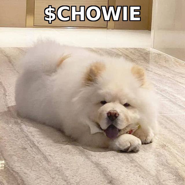 <a href="/henokcrypto/">Henok</a> Don’t fade <a href="/Chowiesol/">Chowie the Chow Chow</a>