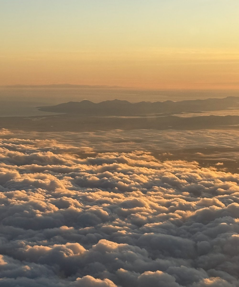 Eva Grosman tweet media