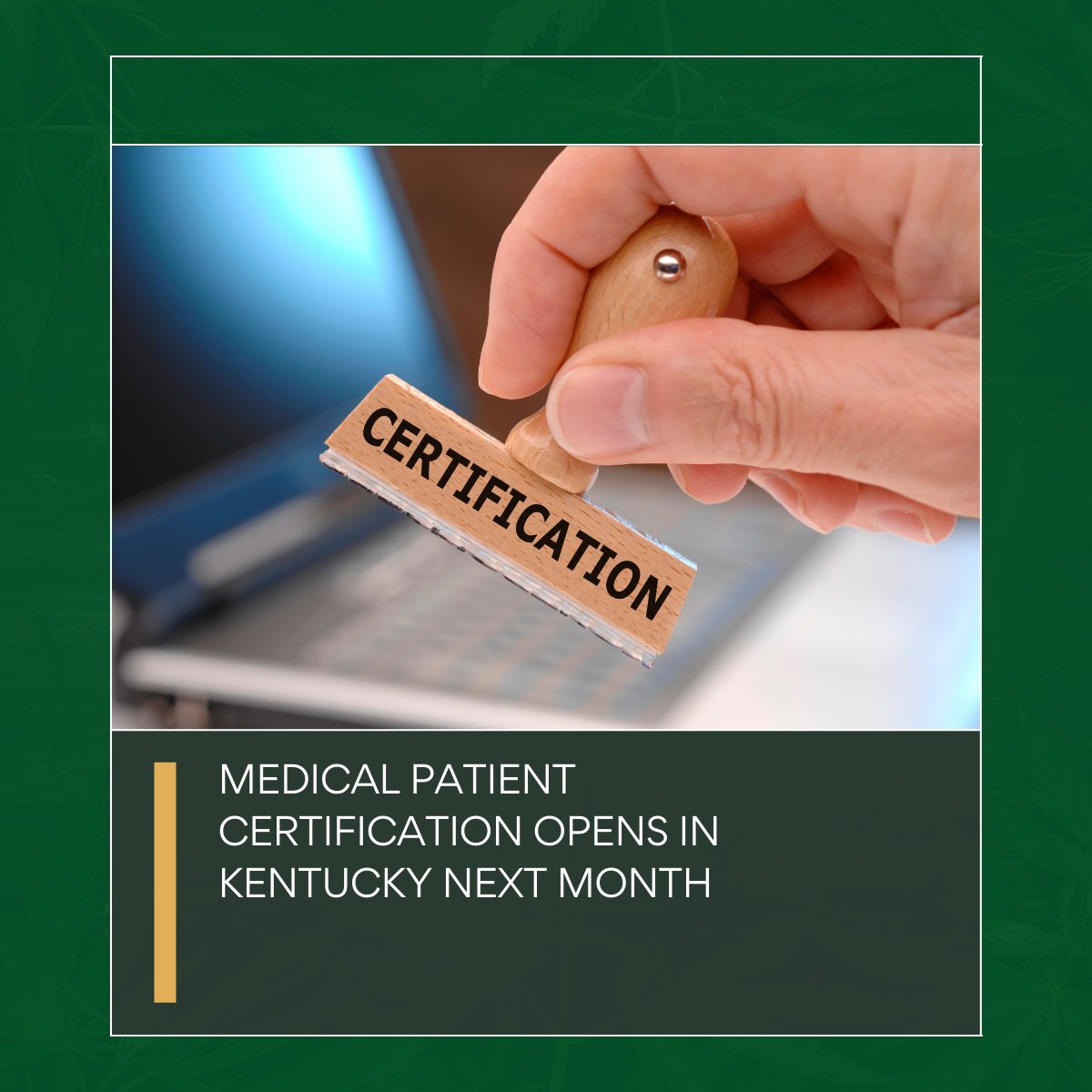 NE_CANN's tweet image. Kentucky begins patient certifications on Dec 1, paving the way for its medical program launch next year!

Read the full article here: 
ganjapreneur.com/medical-cannab… 

 #KentuckyNews #MedicalProgram #HealthUpdates