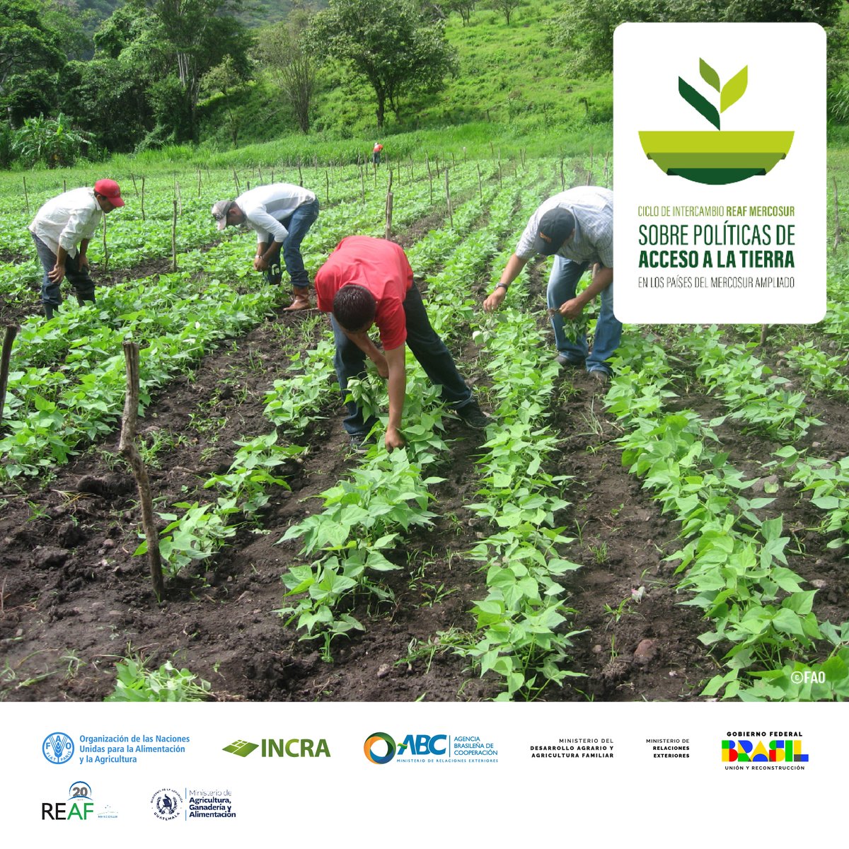 📢La FAO🇺🇳 y el Gobierno de Brasil🇧🇷 apoyan la agenda de trabajo de la <a href="/reafmercosur/">REAF Mercosur</a> y facilitan espacios de intercambio de experiencias, fortaleciendo el diálogo de políticas, como la de acceso a la tierra. #MejorVida
