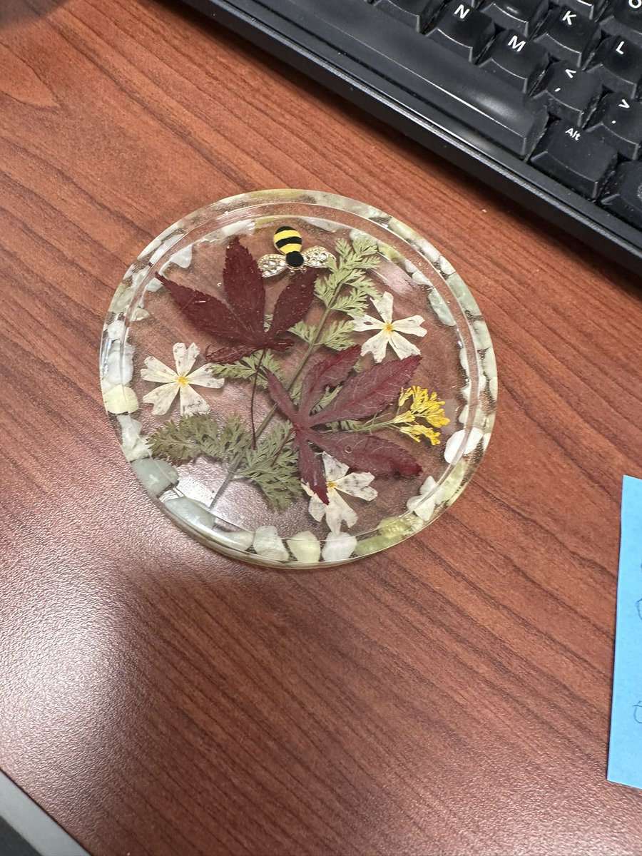 Thankful for a student gift this week…seriously cool…thanks 🪿