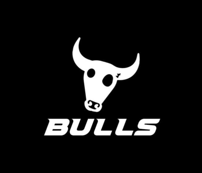Bulls tweet media